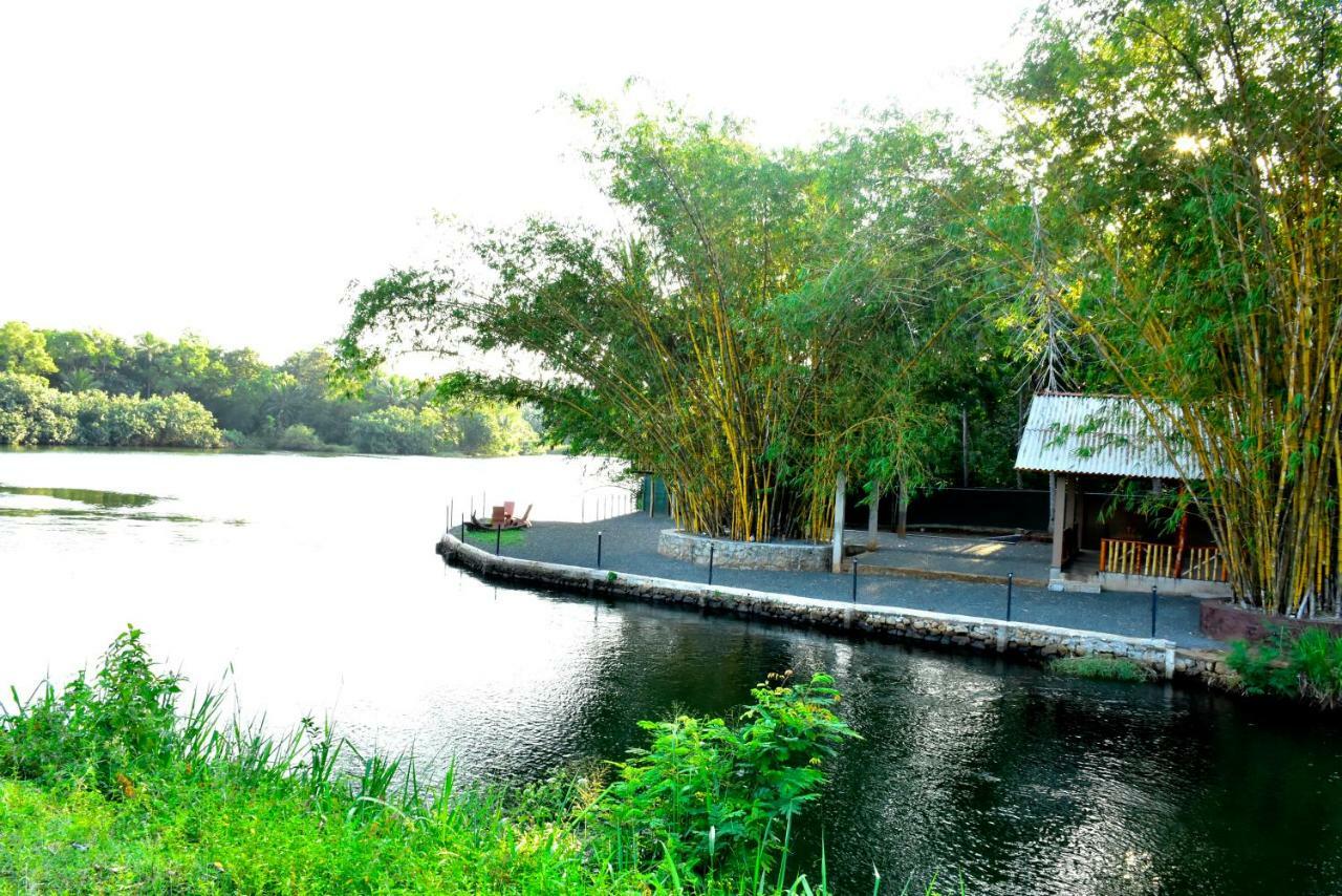 Pelican Lake Udawalawe Exterior foto