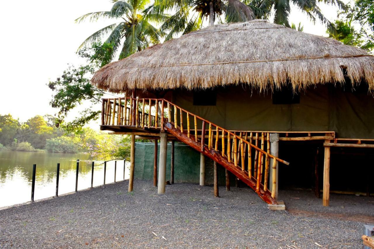 Pelican Lake Udawalawe Exterior foto
