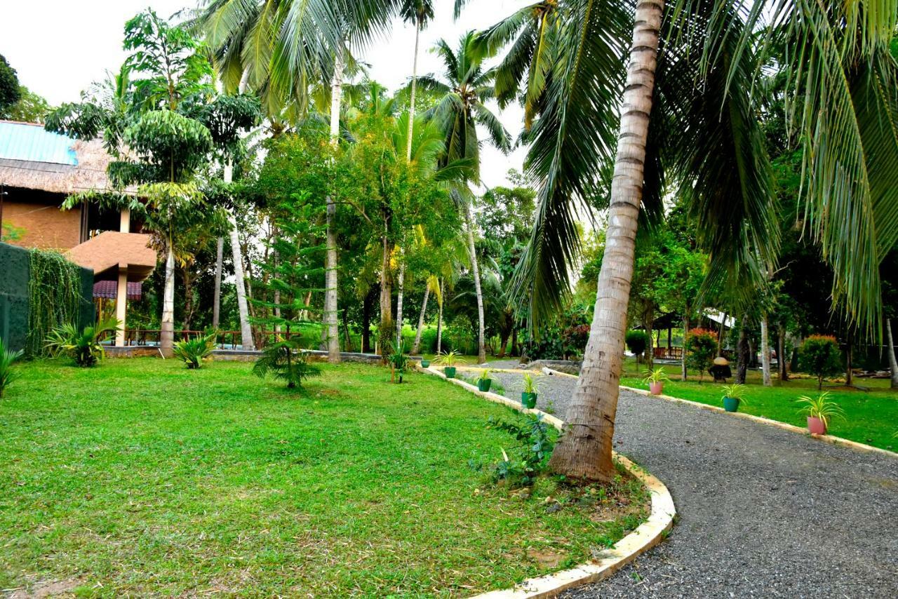 Pelican Lake Udawalawe Exterior foto